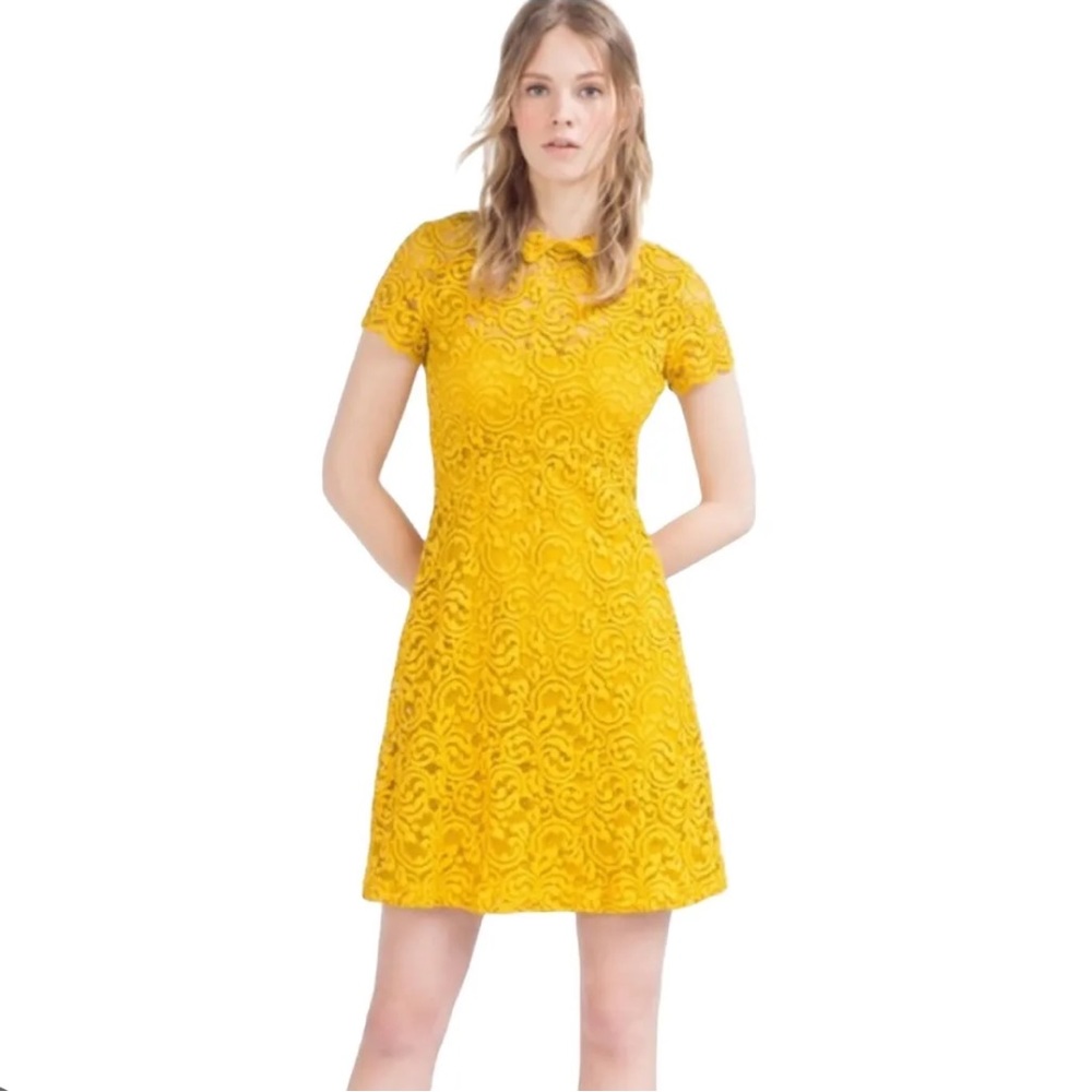 Zara Lace Dress With Collar